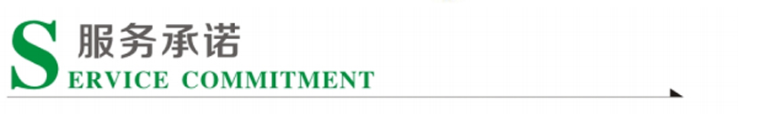 服务承诺
